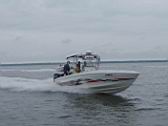 2011 Horn Island (51).JPG